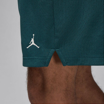 Air Jordan Sport Mesh Shorts ''Oxidized Green''